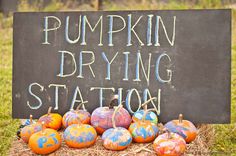 pumpkin drying station sign surrounded by painted pumpkins