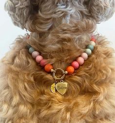 a close up of a dog wearing a necklace with a heart charm on it's collar