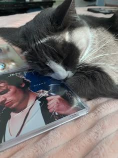 a black and white cat laying on top of a bed next to a dvd case