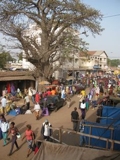 a large group of people walking down a street next to a tree and some buildings