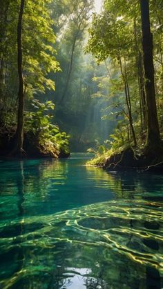 the sun shines through the trees and leaves on the water in this beautiful river