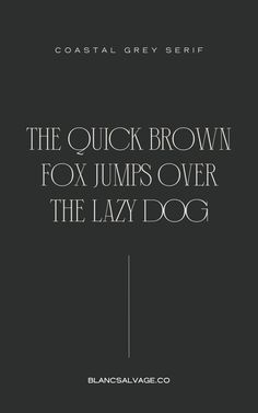 the cover for the book, the quick brown fox jumps over the lazy dog