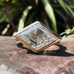 a diamond ring sitting on top of a rock next to some plants and trees in the background