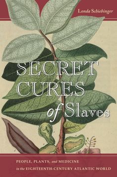 the book cover for secret curves of slaves