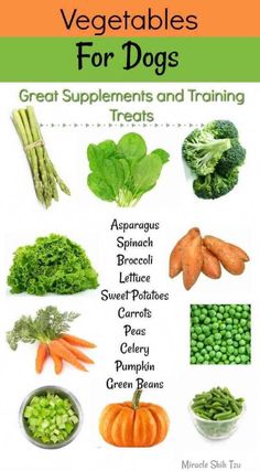 vegetables for dogs great supplements and training trotting treats by carole d'arce