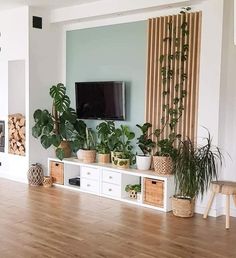 a living room filled with lots of plants on top of wooden flooring next to a flat screen tv