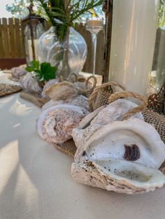 an arrangement of seashells on a table with vases and candles in the background