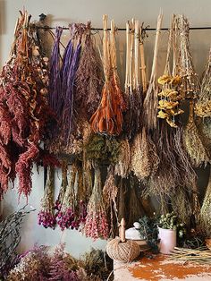 dried herbs hanging from hooks in a store