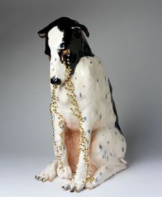 a black and white dog with a chain around its neck sitting on a gray background