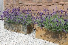 two planters filled with purple flowers sitting next to a brick wall and gravel ground