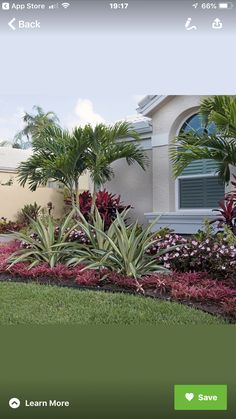 an image of landscaping in front of a house with palm trees and flowers on the lawn