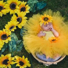 a baby sleeping in a yellow tutu surrounded by sunflowers