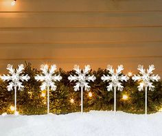 snowflakes are lined up in front of a christmas tree with lights on it