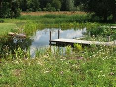 there is a dock in the middle of a pond with grass and flowers around it