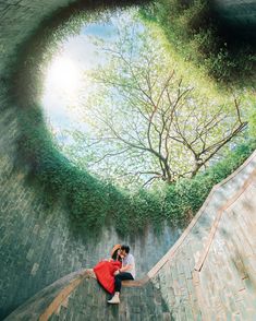 a man and woman sitting on top of a brick wall next to each other near a tree