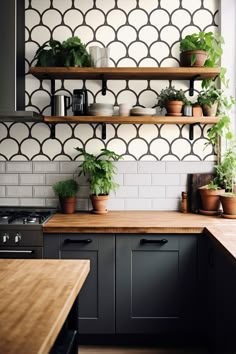 a kitchen with black cabinets and shelves filled with potted plants on top of them