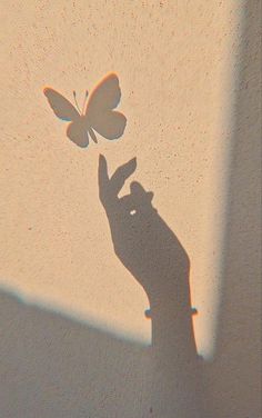 the shadow of a person's hand holding a butterfly