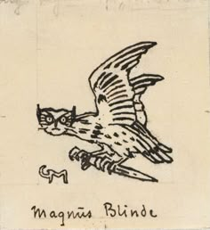 a drawing of a bird flying in the sky