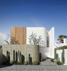 an exterior view of a modern home with cactus and succulents