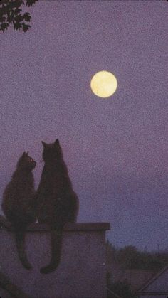 two cats sitting on top of a roof looking at the moon