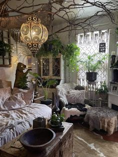 a living room filled with lots of plants and furniture