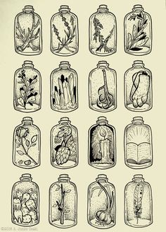 twelve jars filled with plants and herbs