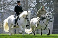 two men riding on the backs of white horses in front of a fence and trees