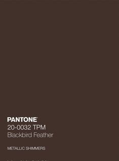 pantone's blackbird feather metallic shimmers are available in two colors