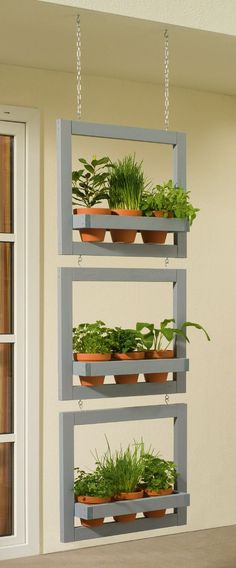 an indoor planter with plants hanging from it's sides