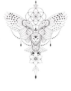 an owl with wings and flowers on it's back is drawn in black ink