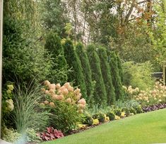 a lush green garden filled with lots of flowers and trees