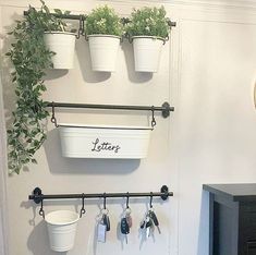 a kitchen with potted plants and hanging utensils