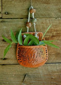 an orange clay pot with some plants in it