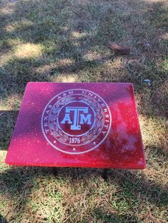 a red frisbee sitting on top of a grass covered field