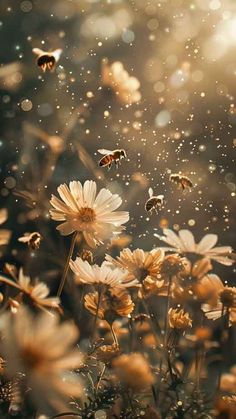 some white flowers and bees flying in the air with water droplets on it's petals