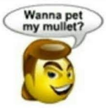 an emoticive smiley face with a thought bubble above it that says wanna pet my mullet?