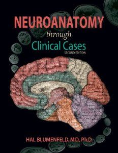 the book neuroanatomy through medical cases by hal blunefield, m d