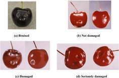 four different types of cherries are shown in this image, with the names below them