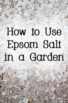 the words how to use epsom salt in a garden are displayed on a white background