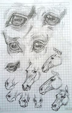 several different types of horses drawn on graph paper