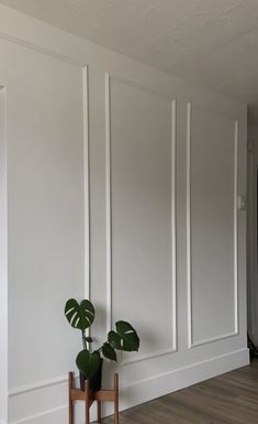 there is a plant in the corner of this room with white paneling on the walls