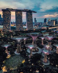 an aerial view of the gardens by night in singapore, with skyscrapers behind it