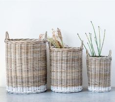 three wicker baskets with plants in them