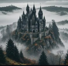 the castle is surrounded by fog and trees