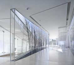 an empty room with glass walls and trees in the background