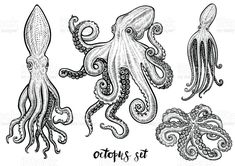 an octopus and other sea animals are depicted in this hand drawn ink drawing, vintage line art