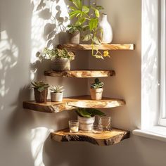 three wooden shelves holding potted plants in front of a window with sunlight coming through the window