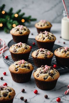 chocolate chip muffins on a cooling rack with candy canes and christmas decorations