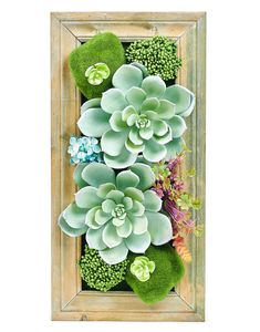 an arrangement of succulents and moss in a wooden frame on the wall