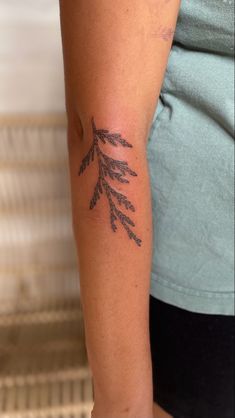 a woman's arm with a tattoo on it that has small leaves drawn on it